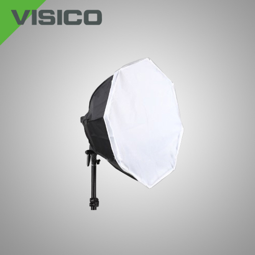 Visico Fluorescent Light FL-305 1